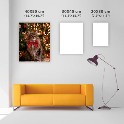 Maine Coon till jul - DiamantmåLning