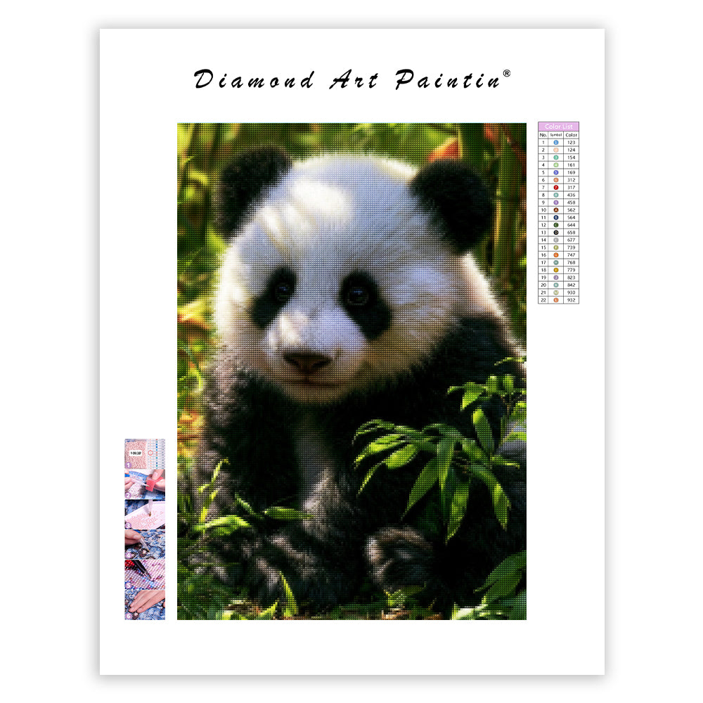 Pandaskog - DiamantmåLning