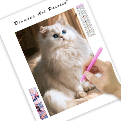 Perserkatt - DiamantmåLning