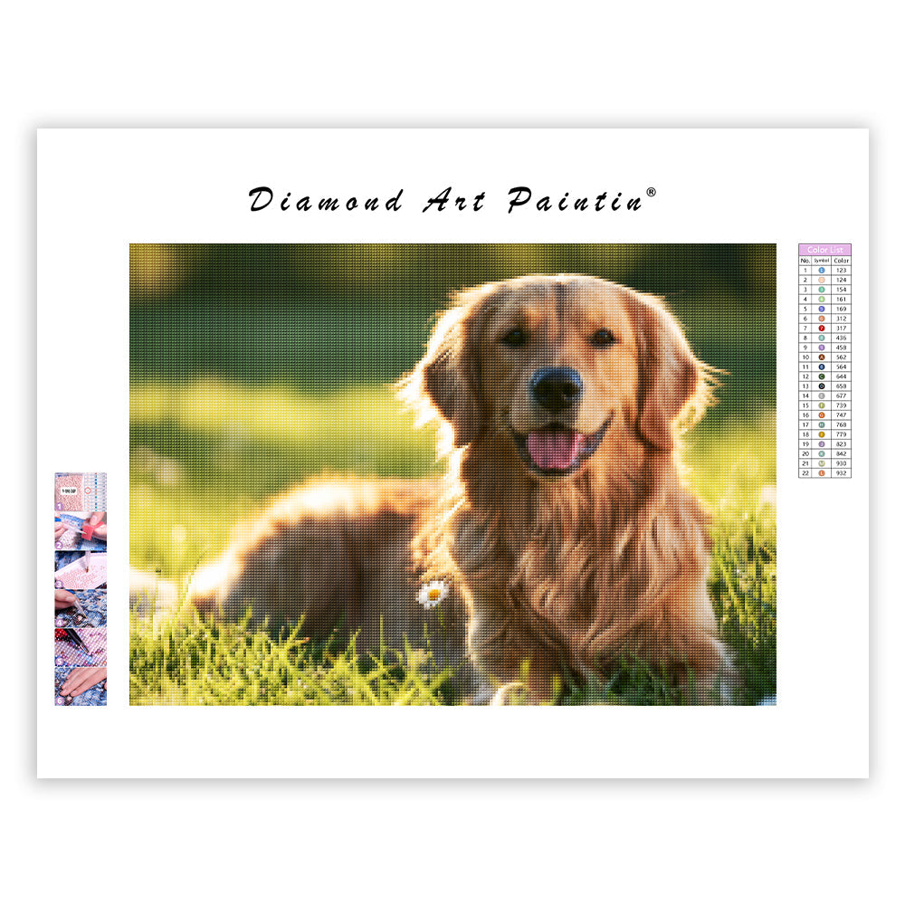 Hund på gyllene äng - Diamantmålning