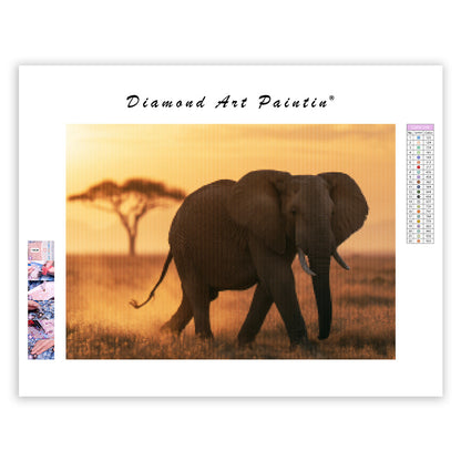 Majestätisk elefant - Diamantmålning
