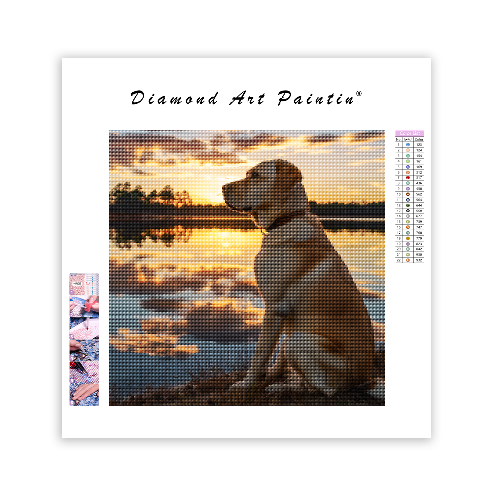 Labrador pri jazere Sunset - Diamantmålning