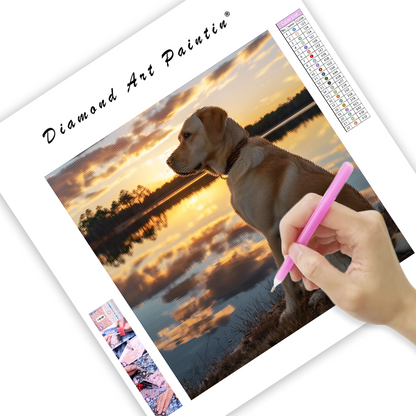Labrador pri jazere Sunset - Diamantmålning