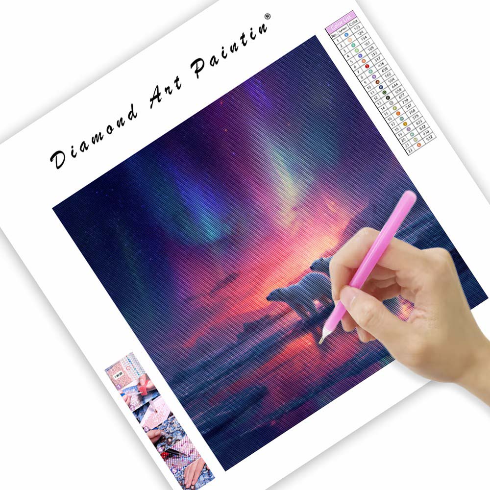 Aurora Guardians - Diamantmålning