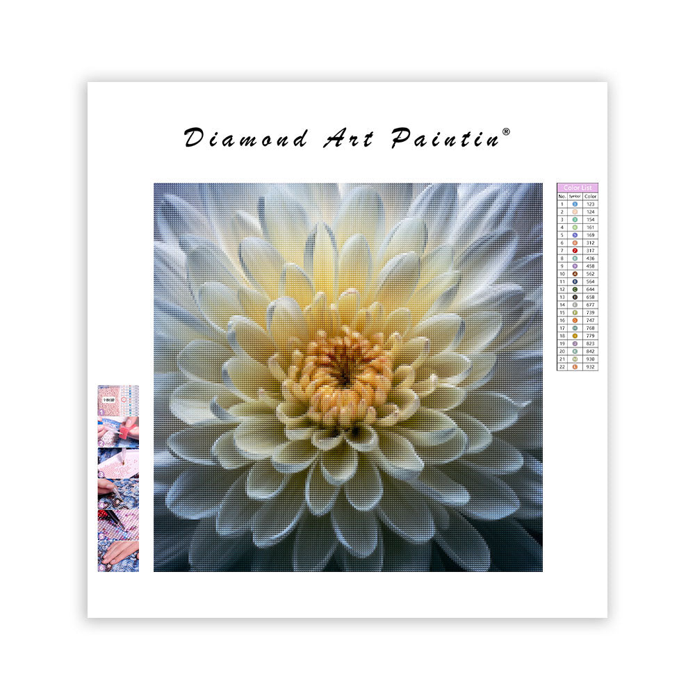 Detaljerad Krysantemum - Diamantmålning