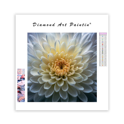 Detaljerad Krysantemum - Diamantmålning