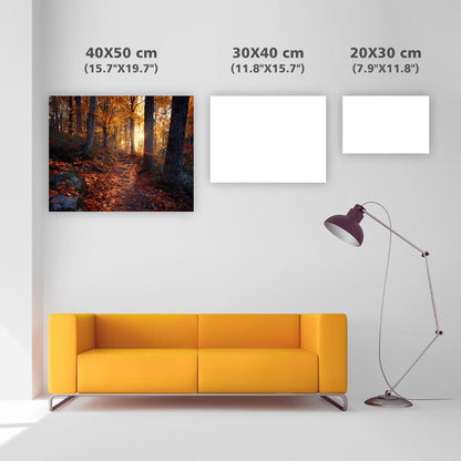 Gyldene Höstskogsstig - Diamantmålning