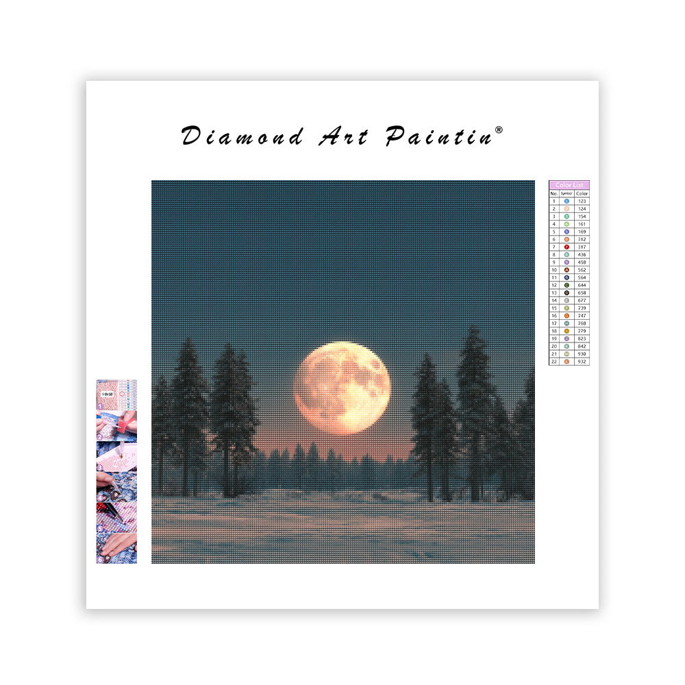 Månbelyst Snölandskap - Diamantmålning