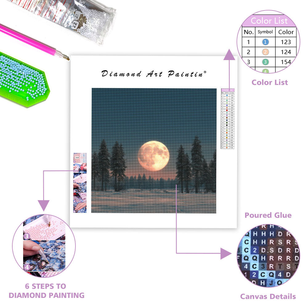 Månbelyst Snölandskap - Diamantmålning