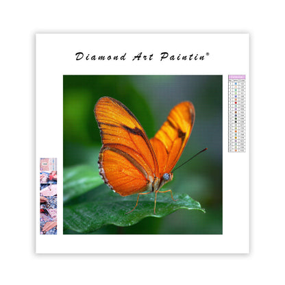 Orange Fjäril och Grönt Löv - Diamantmålning