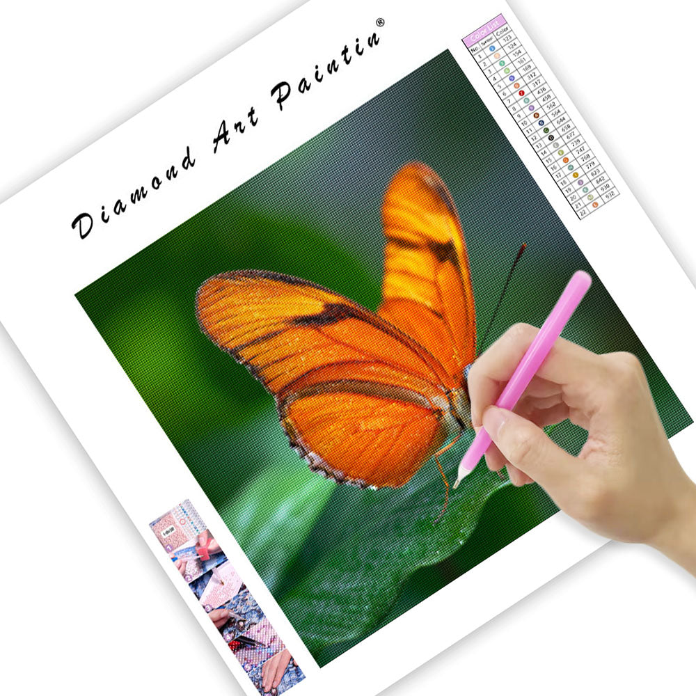 Orange Fjäril och Grönt Löv - Diamantmålning