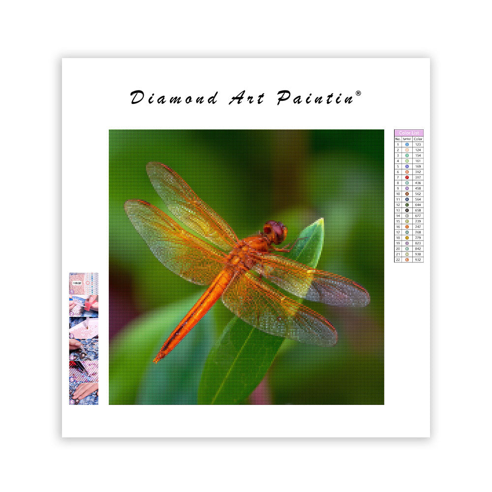 Orange Trollslända - Diamantmålning