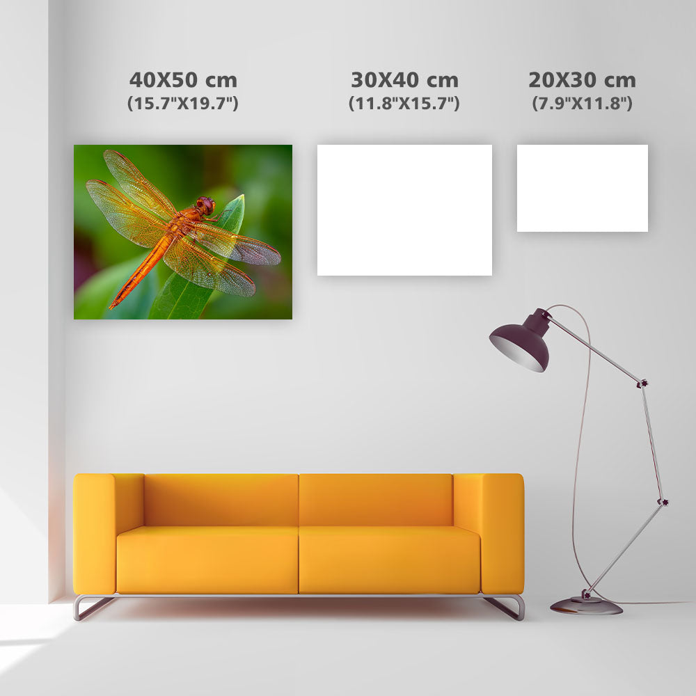 Orange Trollslända - Diamantmålning