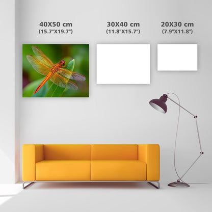 Orange Trollslända - Diamantmålning