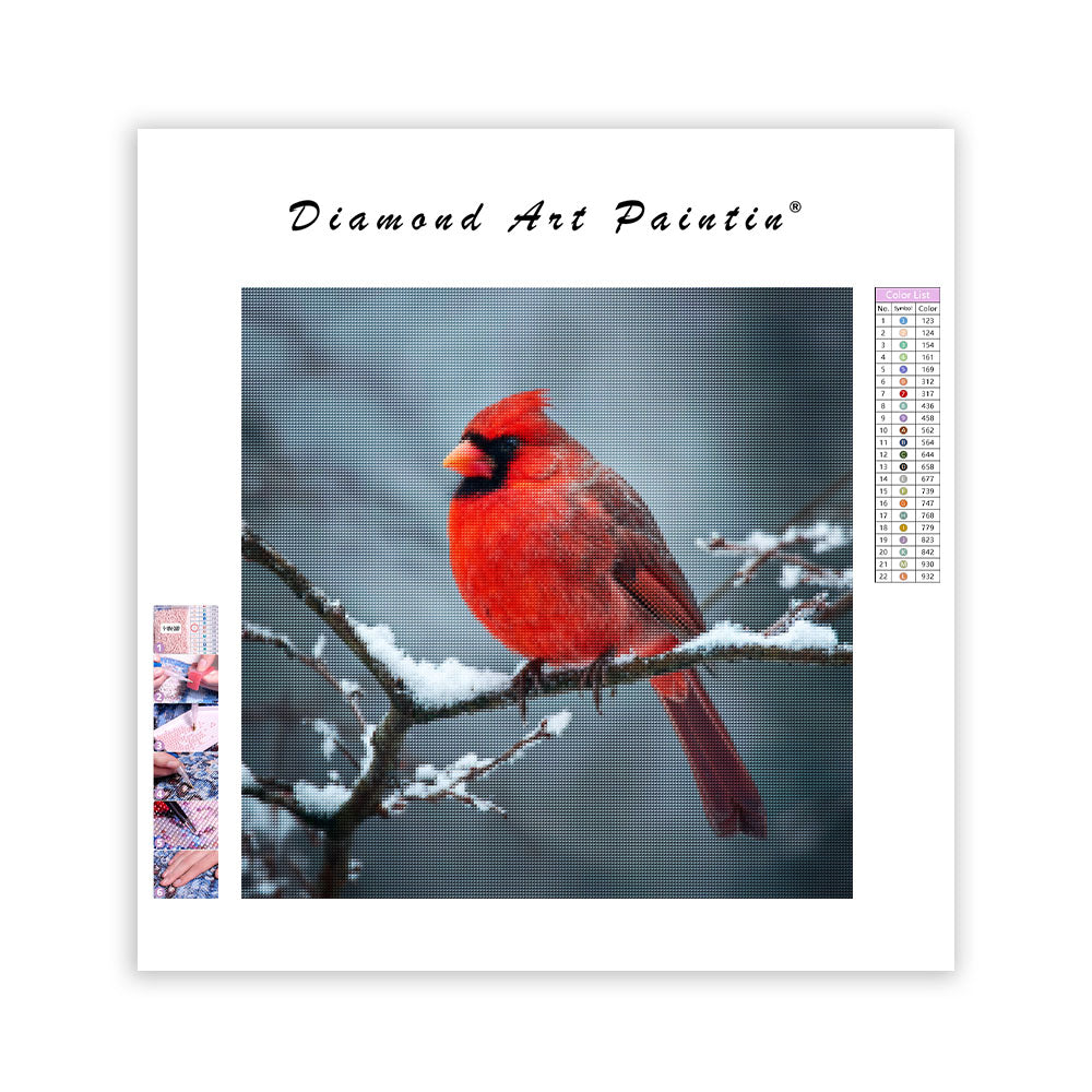 Röd Kardinal i Snö - Diamantmålning