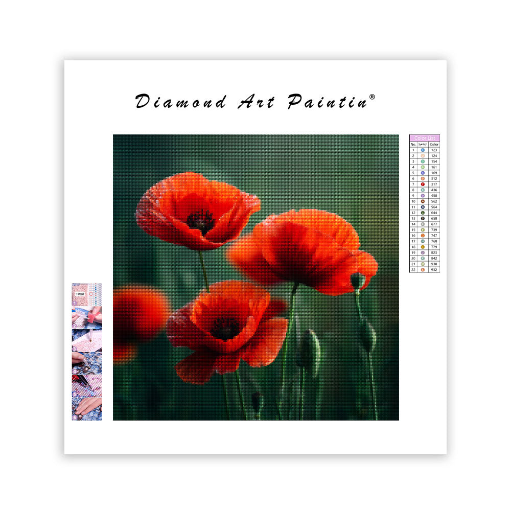 Röda Vallmo på Grön Äng - Diamantmålning