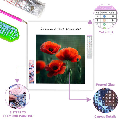 Röda Vallmo på Grön Äng - Diamantmålning