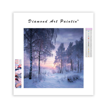 Fridfull Vinter Snöscen - Diamantmålning