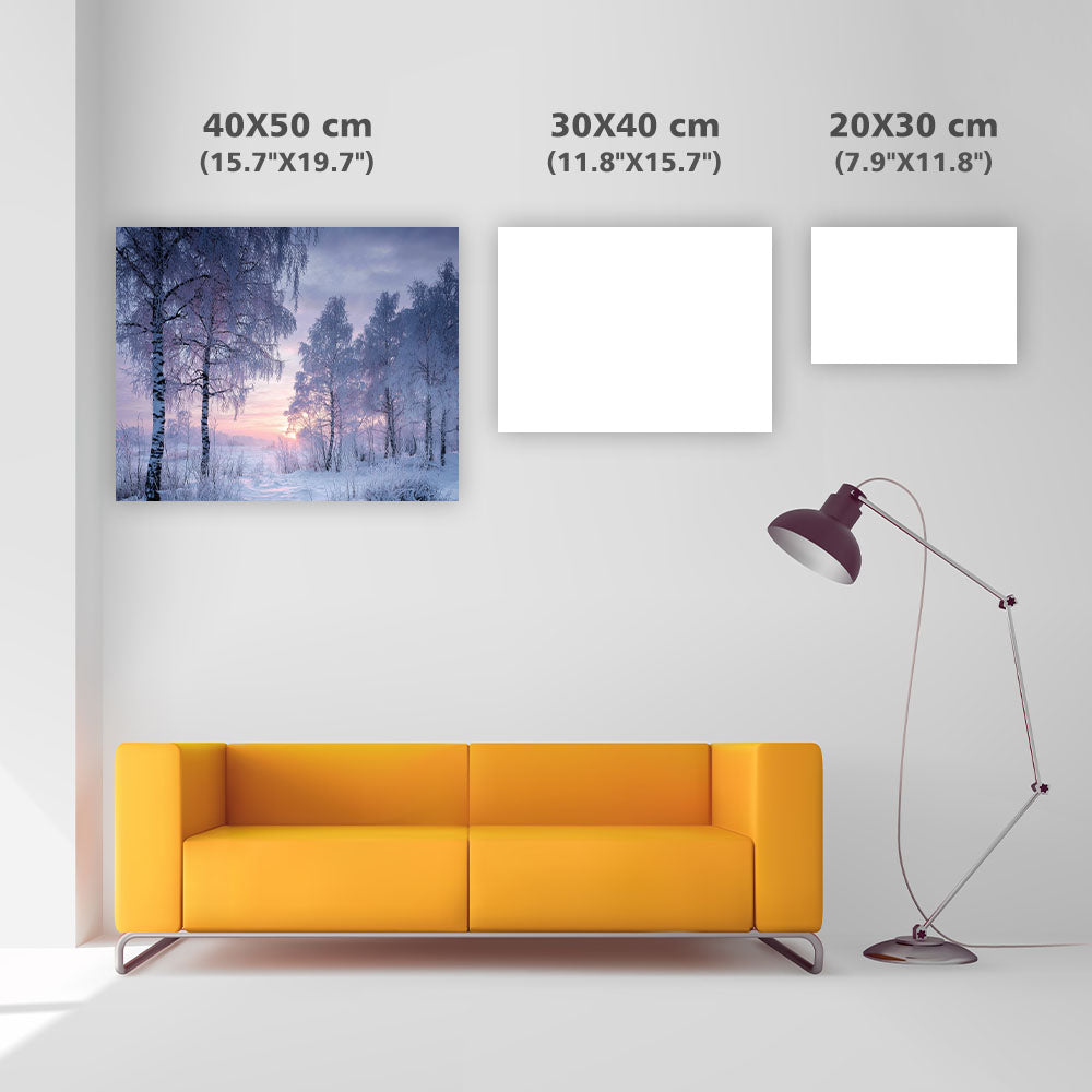 Fridfull Vinter Snöscen - Diamantmålning