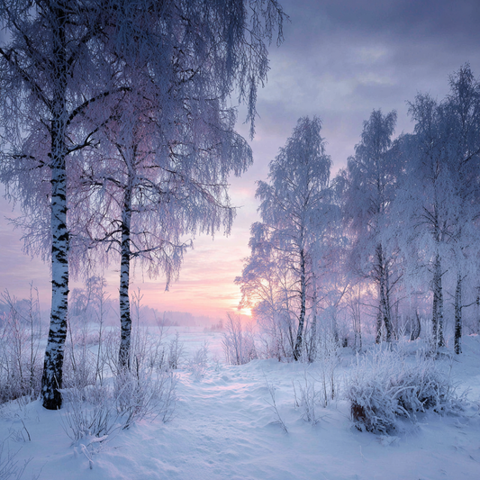Fridfull Vinter Snöscen - Diamantmålning