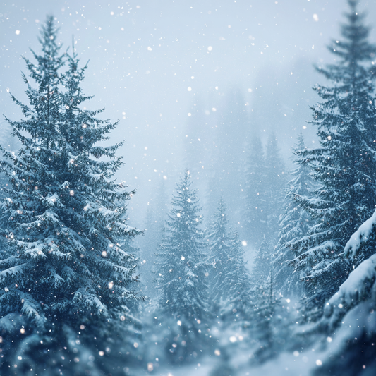 Snötäckta Tallar på Vintern - Diamantmålning