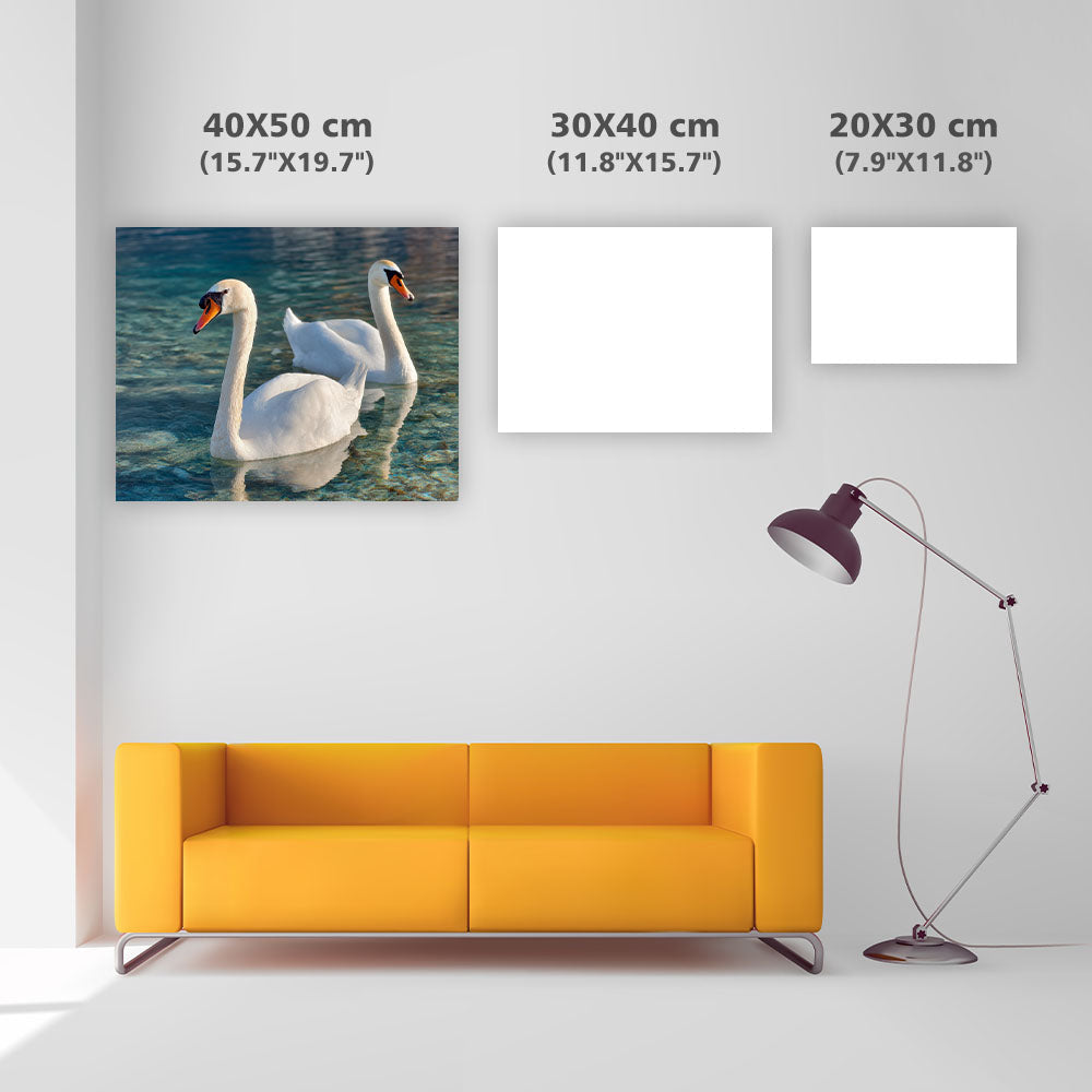 Svanar på Sjön - Diamantmålning