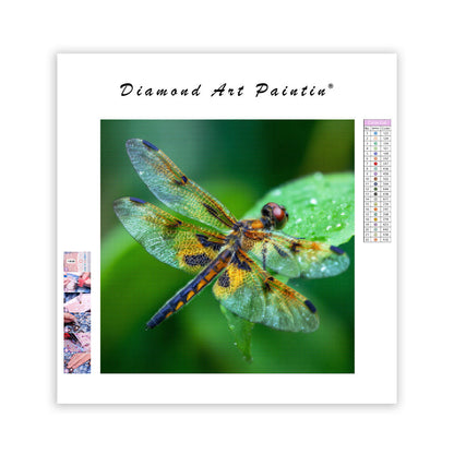 Trollslända med Genomskinliga Vingar - Diamantmålning
