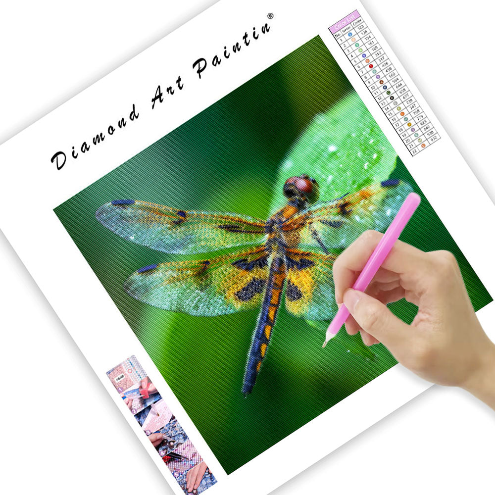 Trollslända med Genomskinliga Vingar - Diamantmålning