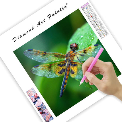 Trollslända med Genomskinliga Vingar - Diamantmålning