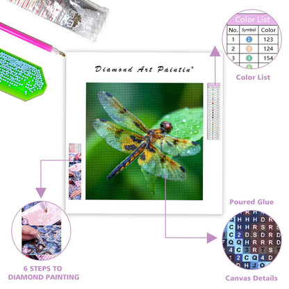 Trollslända med Genomskinliga Vingar - Diamantmålning
