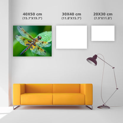 Trollslända med Genomskinliga Vingar - Diamantmålning