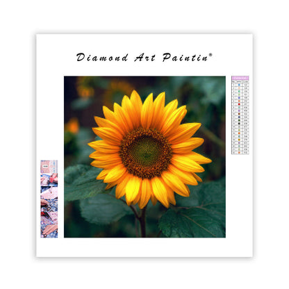 Livfull Solros - Diamantmålning