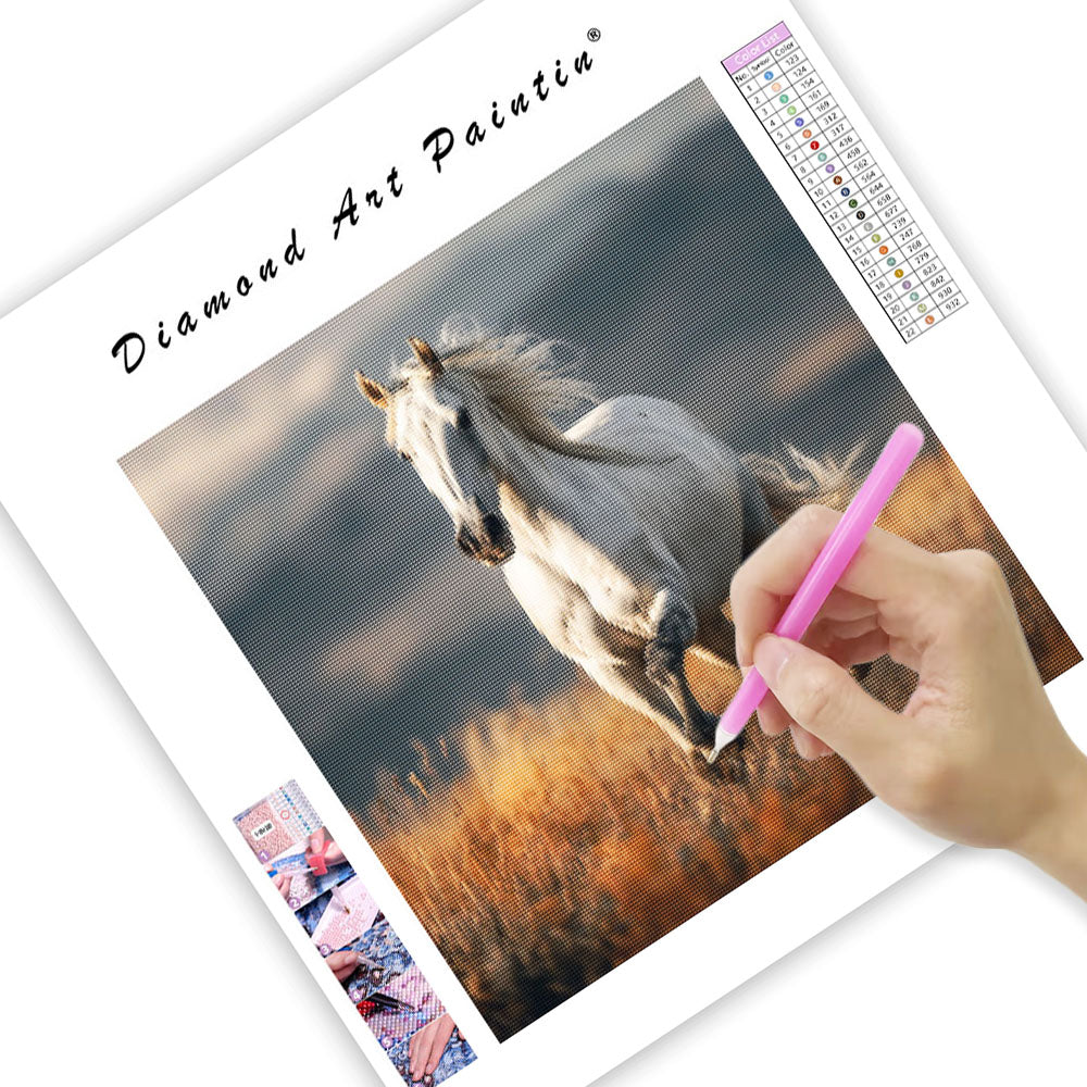 Vit Häst på Prärien - Diamantmålning