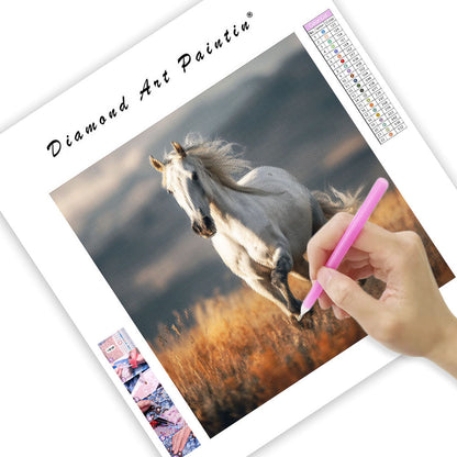 Vit Häst på Prärien - Diamantmålning