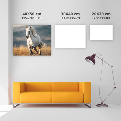 Vit Häst på Prärien - Diamantmålning