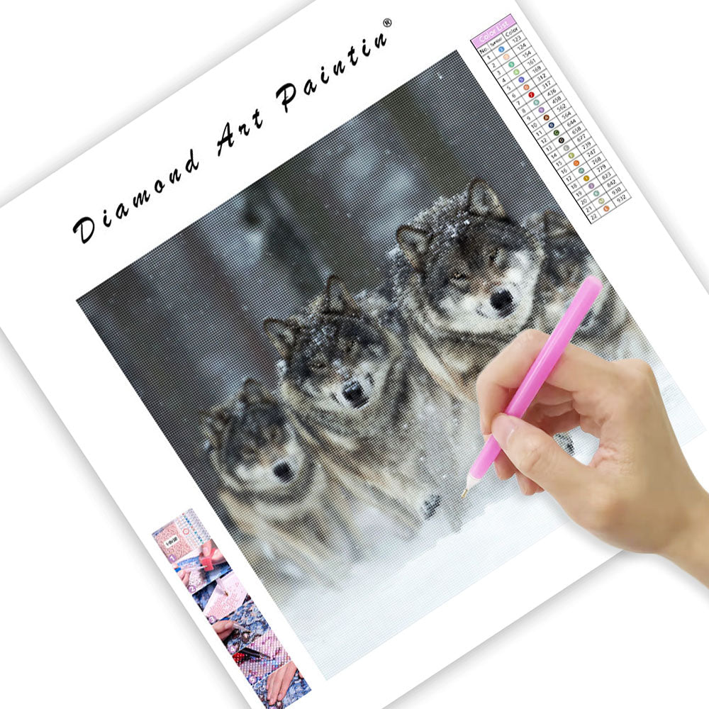 Vargflock i Snön - Diamantmålning