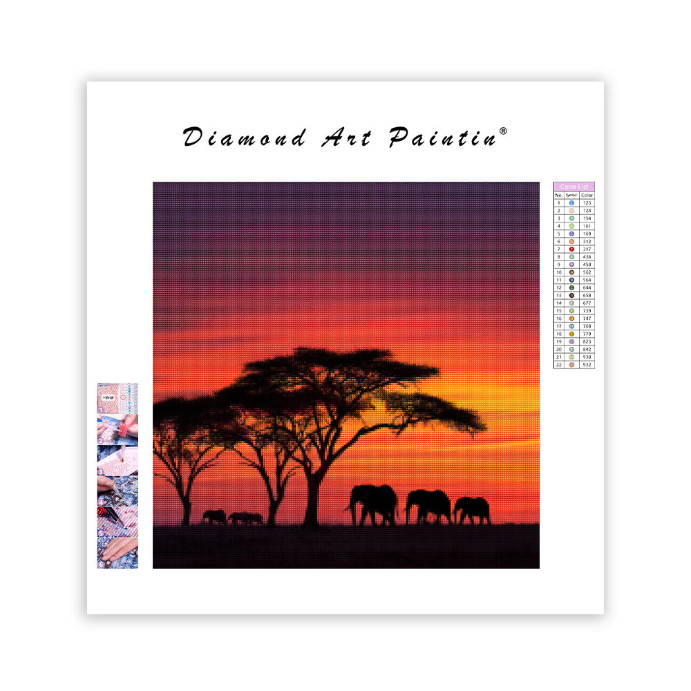 Afrikansk solnedgångssilhuett - Diamantmålning
