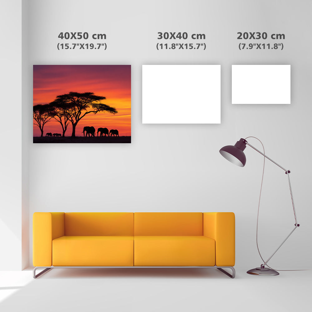 Afrikansk solnedgångssilhuett - Diamantmålning
