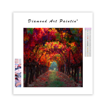Höst vingård tunnel - Diamantmålning