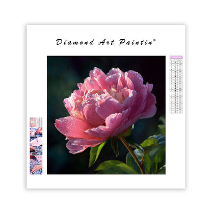 Blommande pion majestät - Diamantmålning