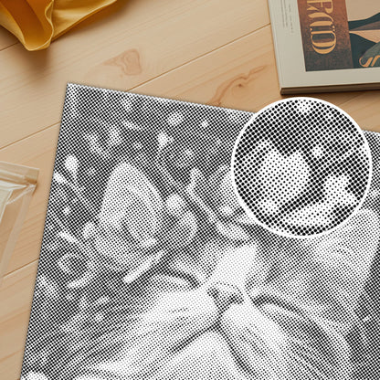 Ragdollkatt – Punktmålning