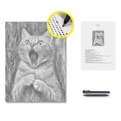 Kattens skrik – Punktmålning