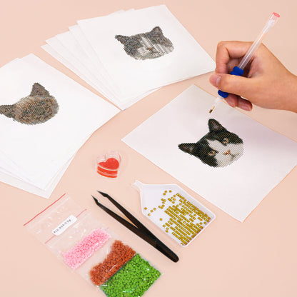 MINI-Söta Kattansikten