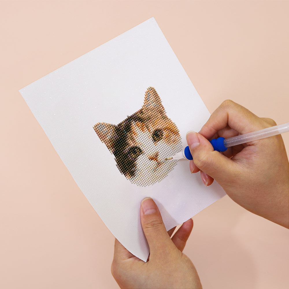 MINI-Söta Kattansikten