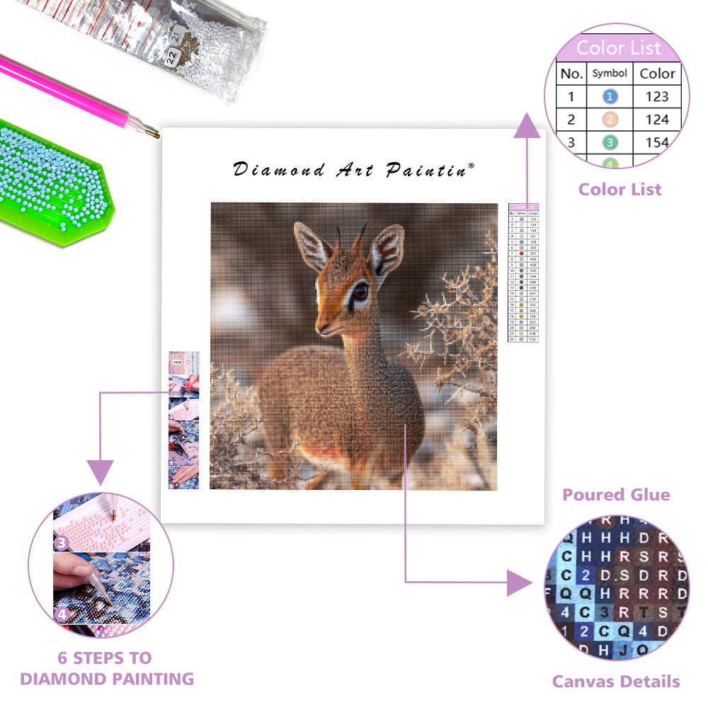 Dik-dik-antilop – Diamantmålning