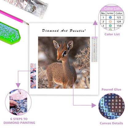 Dik-dik-antilop – Diamantmålning