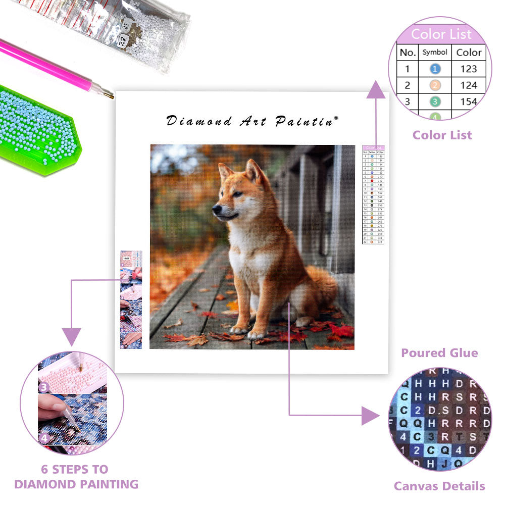 Eftertänksam shiba inu – Diamantmålning