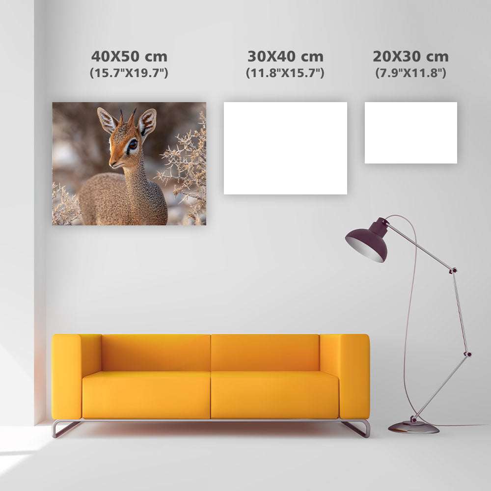 Dik-dik-antilop – Diamantmålning