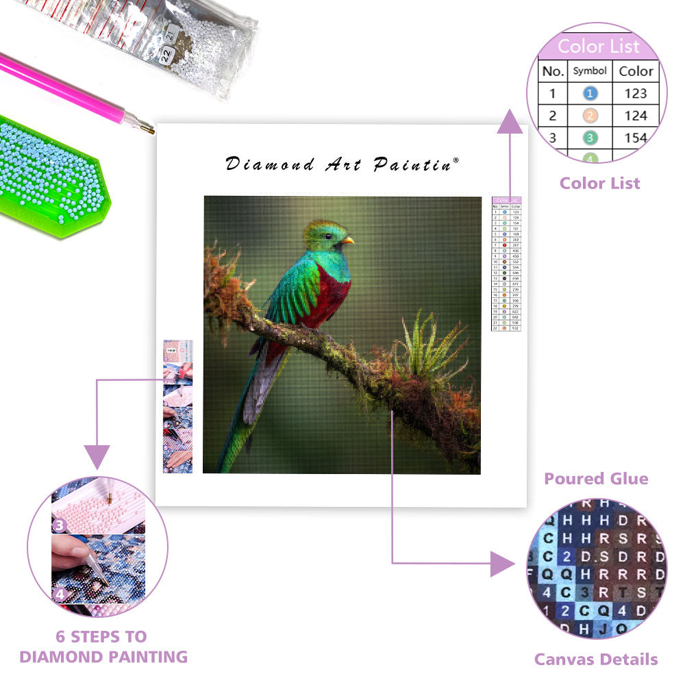 Praktquetzal – Diamantmålning