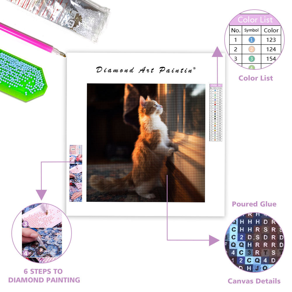 Munchkinkatt som blickar ut genom fönstret – Diamantmålning